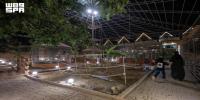 Taif Expands Beyond Highland Tourism With Rural and Eco-Tourism Experiences